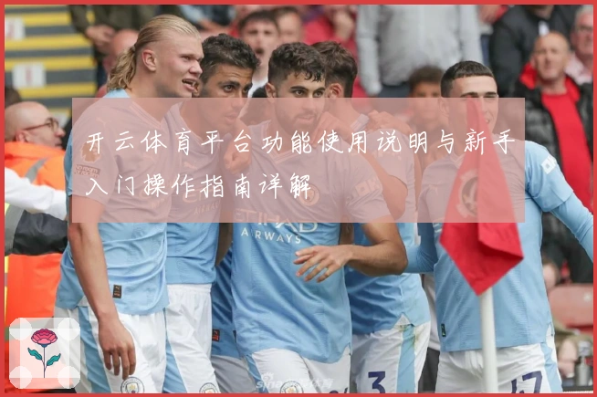 开云体育平台功能使用说明与新手入门操作指南详解